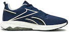 Order Reebok Liquifect 180 Spring AP ''Navy'' Scarpe da Corsa Uomo FW4844