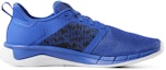 Order Reebok Print Run 3.0 'Biru' CN7210