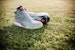Reebok Pump Omni Zone 'Solebox' Lelaki Kasut Sneakers V54096