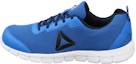 Buy Reebok Ride Runner ''Course Bleue'' DV7586