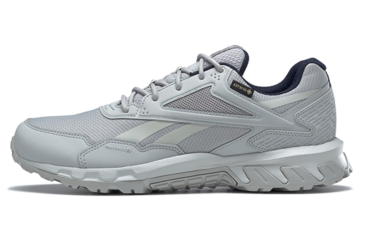 Reebok Ridge Rider 5.0 GTX 'Grey' H03055