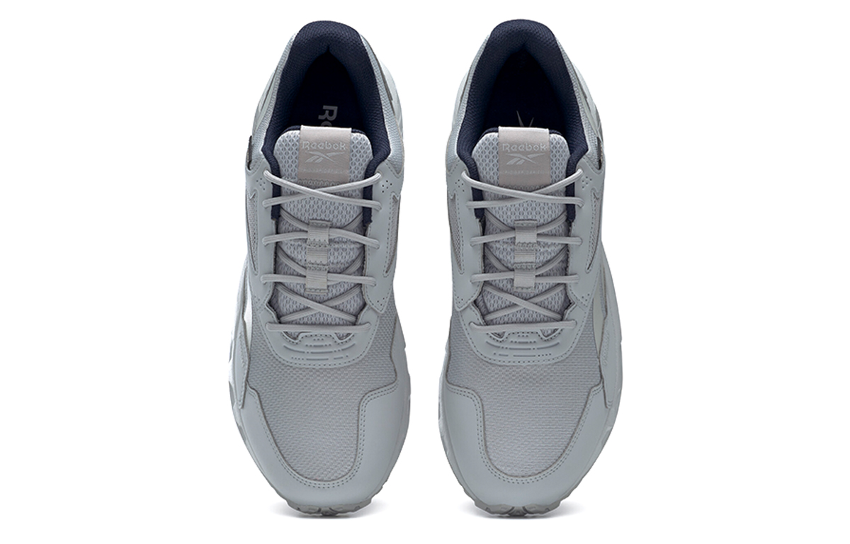 Shop Reebok Ridge Rider 5.0 GTX ''Gris'' H03055