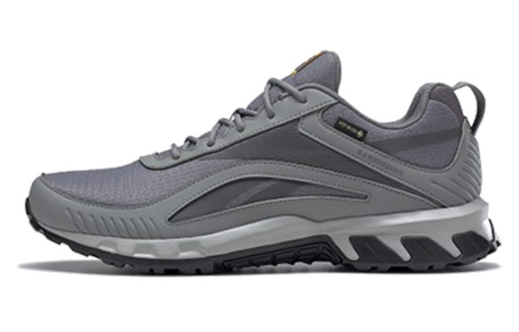 Reebok Ridgerider 6 Gore-Tex 'Grey' GY0207