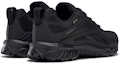 Shop Reebok Ridgerider 6 GTX 'Hitam' FW9642