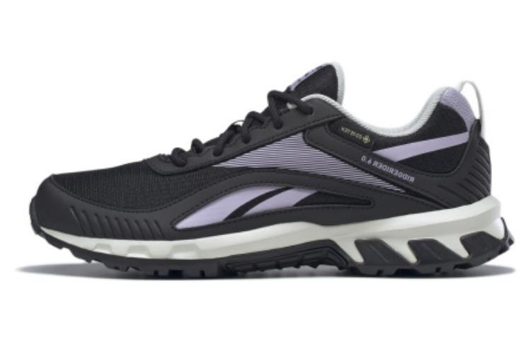 Buy Reebok Ridgerider 6 GTX Wanderschuhe HR1974