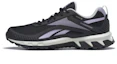 Buy Reebok Ridgerider 6 GTX Wanderschuhe HR1974