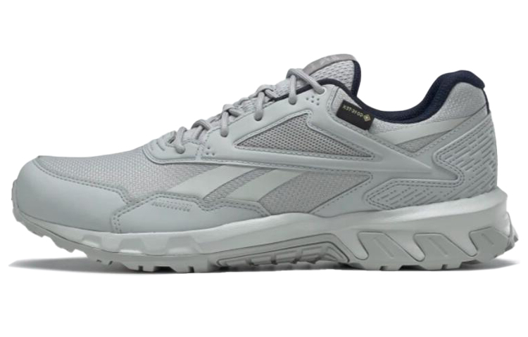 Reebok Ridgerider Gtx 5.0 'Grey' FU8525