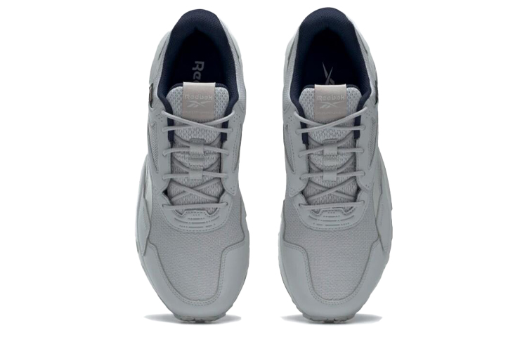 Purchase Reebok Ridgerider GTX 5.0 ''Gris'' FU8525