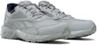 Reebok Ridgerider Gtx 5.0 'Grey' FU8525
