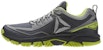 Reebok Ridgerider Trail 2.0 'Kelabu Hijau' BD4934
