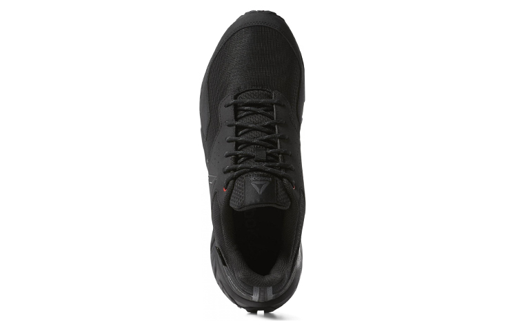Lookbook Reebok Ridgerider Trail 4 GTX 'Black' DV3938
