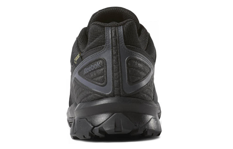 Shop Reebok Ridgerider Trail 4 GTX 'Black' DV3938