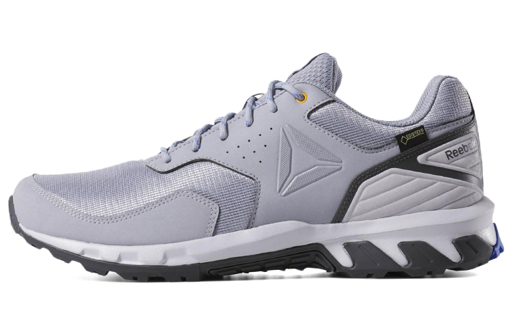 Buy Reebok Ridgerider Trail 4 GTX 'Kelabu' DV3939