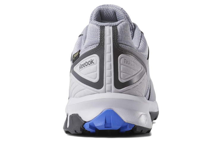 Shop Reebok Ridgerider Trail 4 GTX 'Kelabu' DV3939