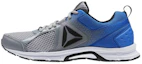 Buy Reebok Runner 2.0 MT ''Licht Ademend Lage Casual Hardloopschoen Grijs Blauw'' BS8400