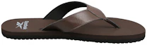 Order Reebok Swim Aruba Flip Brown Shoe EW4149