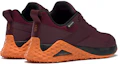 Shop Reebok Trail Cruiser Gore-Tex ''Burgunderrot'' FU8518