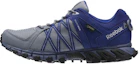 Buy Reebok Trailgrip RS 5.0 GTX ''Grau Blau'' Wanderschuhe BS5427