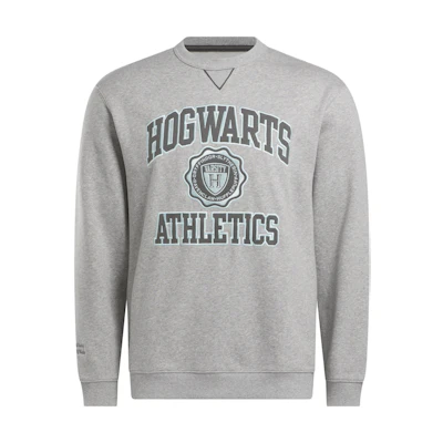 Reebok Harry Potter Spell Print Unisex Crewneck Sweatshirt - Grey 100073959