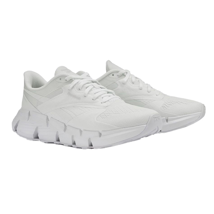 Shop Reebok Zig Dynamica 5 'Blanco Nube' 100074658
