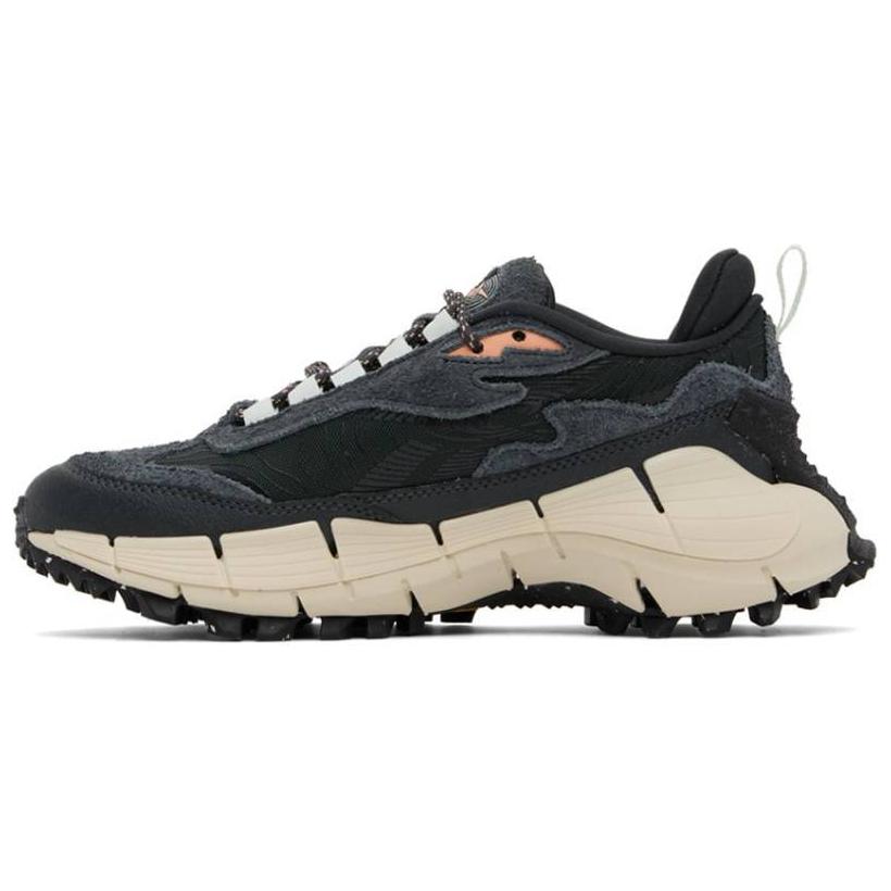 Buy 銳步 Zig Kinetica 2.5 Edge '純灰桃光' 100074673