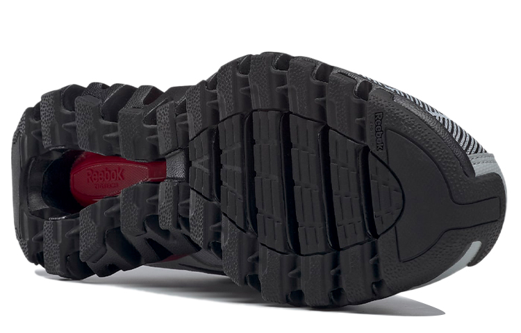 Purchase Reebok ZigWild Trail 6 'Gris Grafito' Trail Running G58589