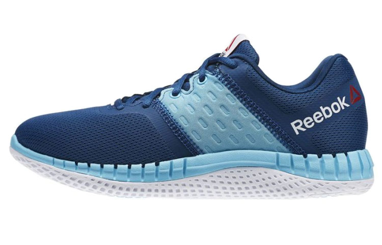 Reebok Zprint Run Neo 'Blue Casual' AR3033