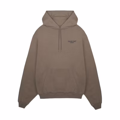 Represent Brown Pullover Hoodie with Letter Print for Men 247M428-499