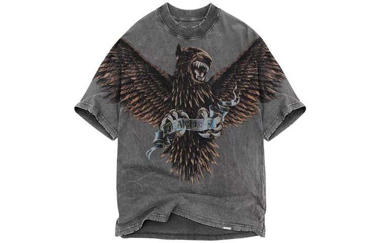 REPRESENT SS21 Eagle Vintage Washed Tee - Dark Gray M05085-20