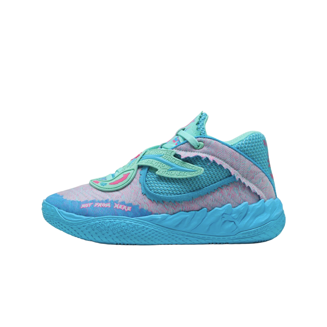 Order Puma LaMelo Ball MB.05 Rick dan Morty. 312130-01