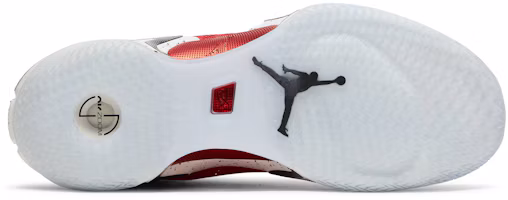 Shop Rui Hachimura x Air Jordan 36 'Japan' 2021 DJ4485-600