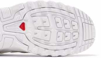 Details for Salomon ACS+ OG '白银' L47236700