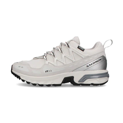 Salomon ACS+ CSWP 'Lunar Rock Silver Metallic'