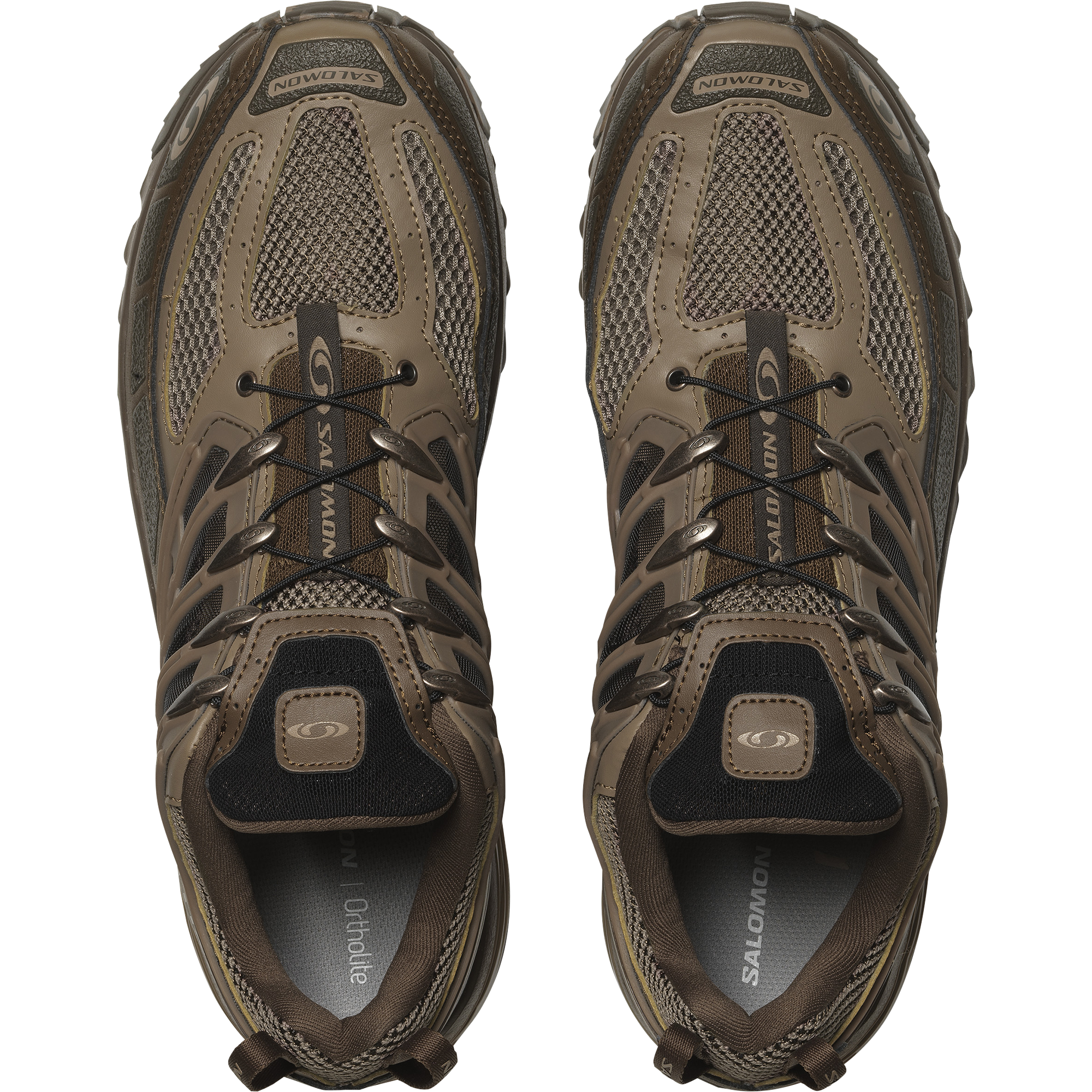 Lookbook Salomon ACS Pro Wüste Palm/Schwarz/Taube L47429700