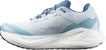 Salomon Aero Glide 3 Gravel L47811800