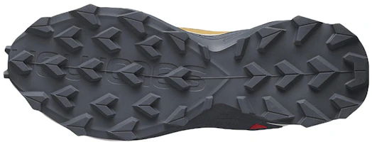 Shop Salomon Alphacross 3 舒適耐磨跑步鞋 土黃