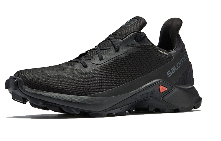 Order Salomon Alphacross 3 GTX '黑色' 414466