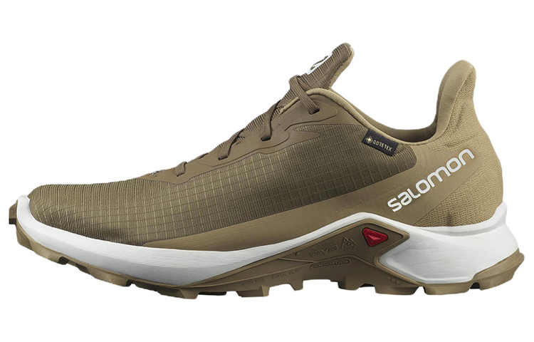 Salomon Alphacross 3 GTX 'Brown Yellow'