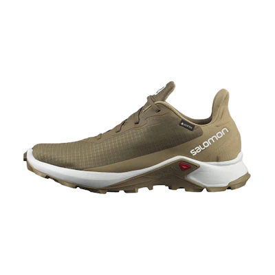 Salomon Alphacross 3 GTX 'Brown Yellow'