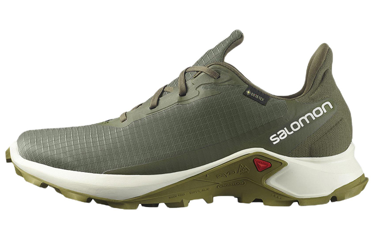 Buy Salomon Alphacross 3 GTX 'Verde Oliva' 416002