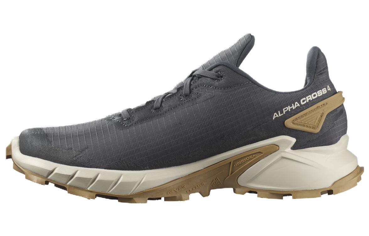Salomon Alphacross 4 'Grey' L41724100