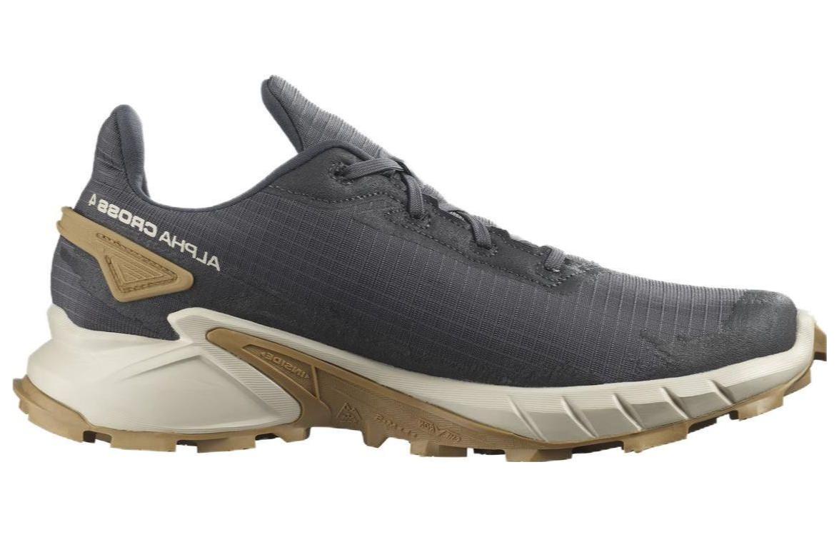 Order Salomon Alphacross 4 'Grey' L41724100