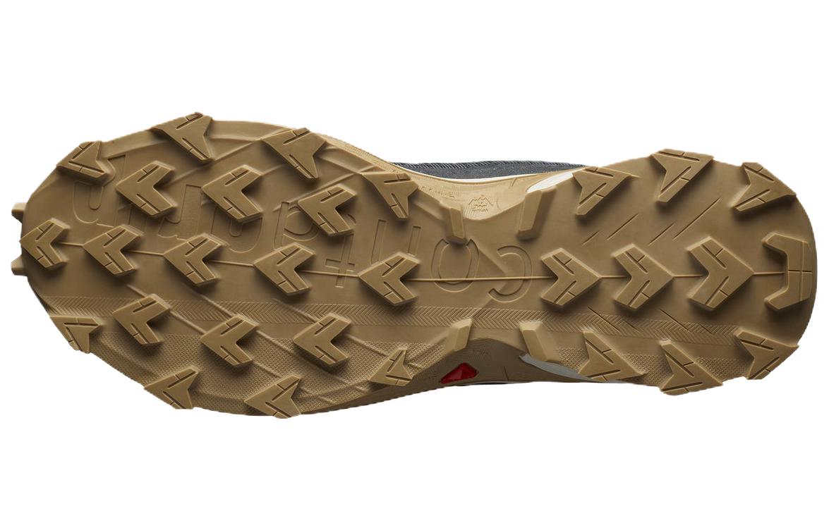 Shop Salomon Alphacross 4 'Abu-abu' L41724100