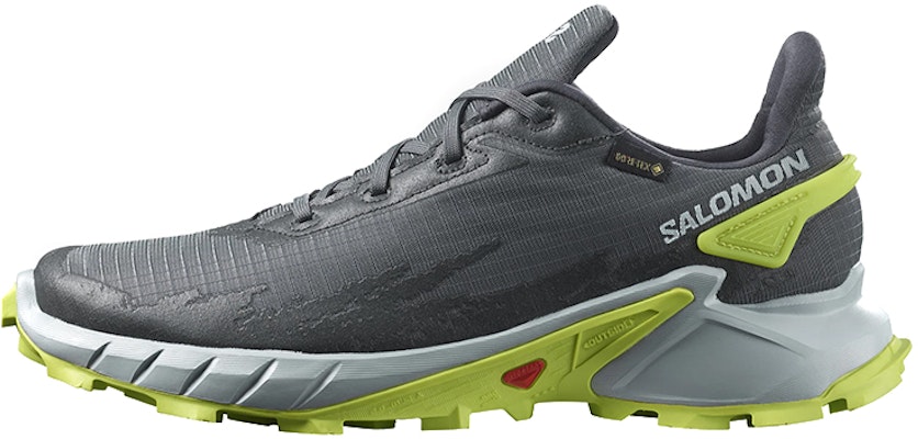 Salomon Alphacross 4 Gore-Tex 'Kelabu Hijau' 470667 Buy Salomon Alphacross 4 Gore-Tex 'Kelabu Hijau' 470667