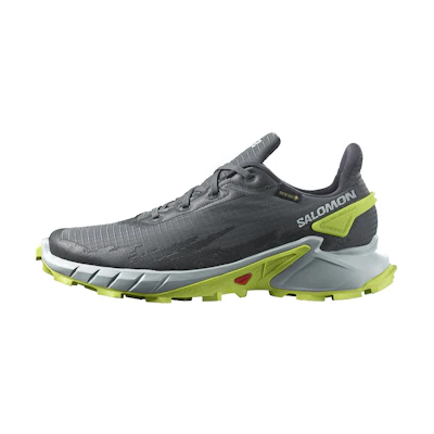 Salomon Alphacross 4 GTX 'Grey Green'