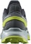 Purchase Salomon Alphacross 4 Gore-Tex 'Kelabu Hijau' 470667