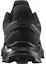 Purchase Salomon Alphacross 4 GTX '黑色' 越野跑鞋 470640