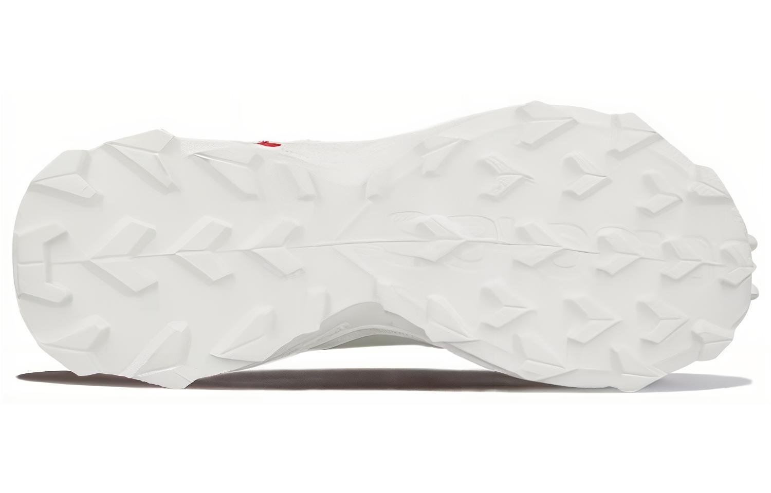 Shop Salomon Alphacross Blast '白色' 运动鞋 411050