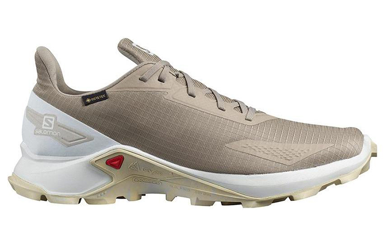 Order Salomon Alphacross Blast GORE-TEX '棕色' 412847
