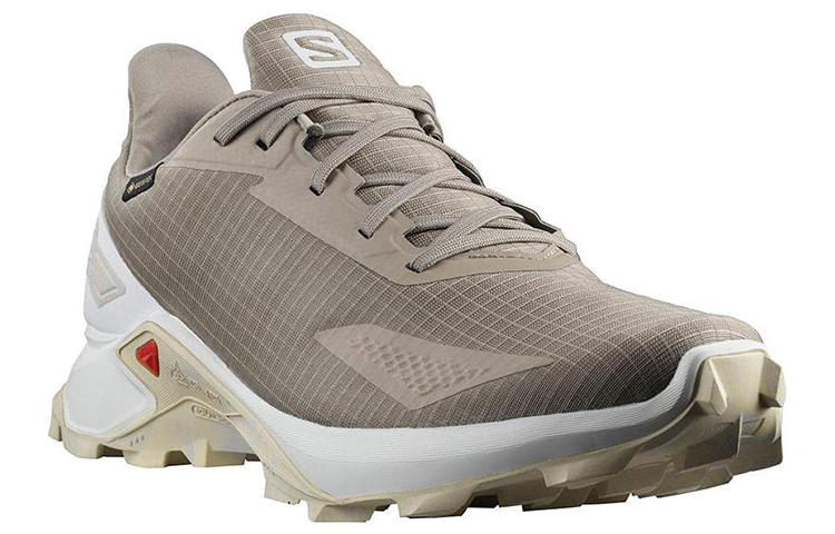 Lookbook Salomon Alphacross Blast GORE-TEX '棕色' 412847